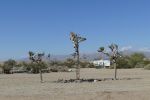 PICTURES/Slab City/t_P1000506.JPG